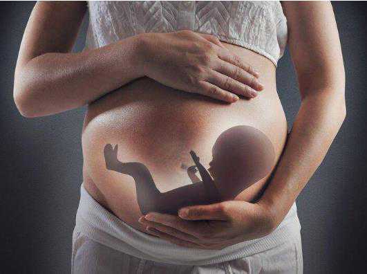 世纪助孕是正规机构吗[供卵好怀孕吗],最近有姐妹问到廊坊哪个医院能做试管婴