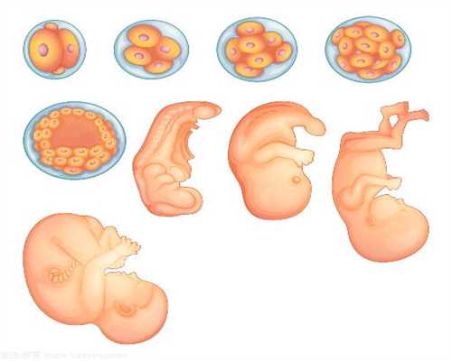 生殖助孕是什么意思_西囡供卵要等几年：附睾炎和睾丸炎有什么区别