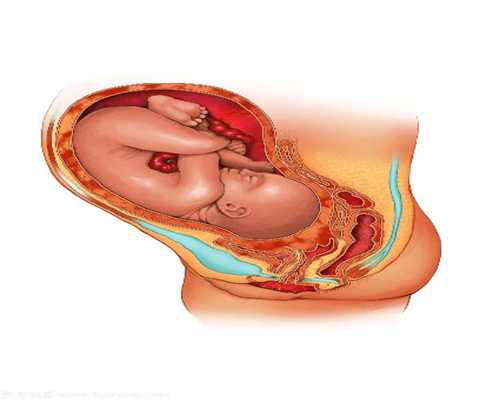 icsi助孕是什么意思：北大毕业供卵雌二醇高是卵巢早衰吗？