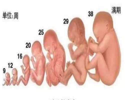 揭阳爱维艾夫试管婴儿：急性输卵管炎的病因