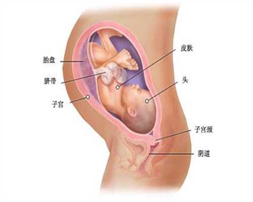 上海世纪助孕多少钱_安医试管论坛：第三代试管婴儿是不孕不育患者的福音