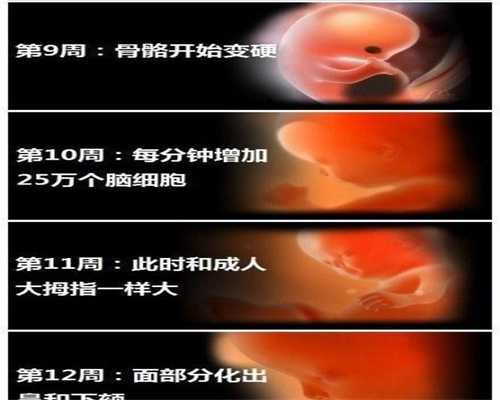 rfg医院_上海中泰国际助孕_单身试管婴儿有出生证明吗？单身试管宝宝可以上户