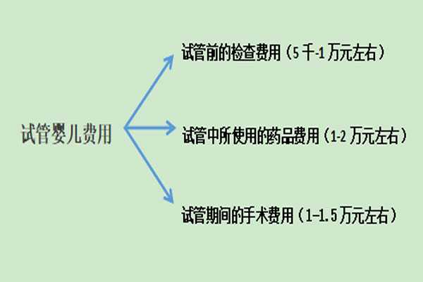 清水县54岁供卵试管成功案例_2021年在济南做试管婴儿费用大约多少（附费用明