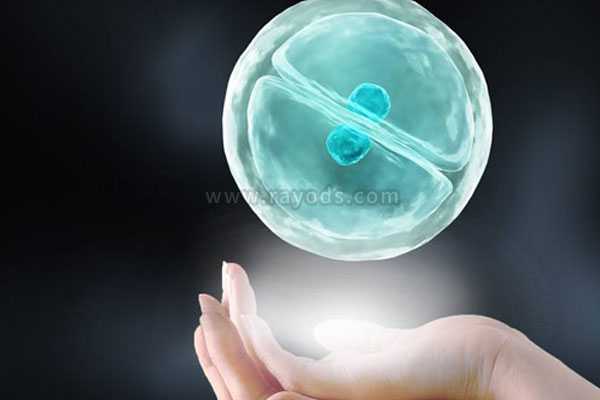 华坪县代妈字的成语_试管移植哪种胚胎成功率高？冻胚以及囊胚移植3种解读
