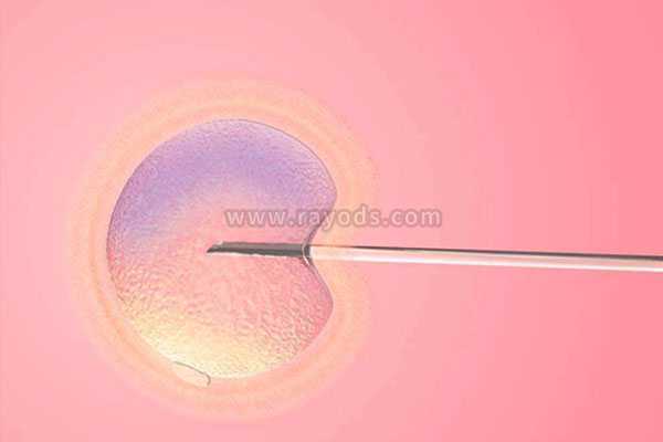华坪县代妈字的成语_试管移植哪种胚胎成功率高？冻胚以及囊胚移植3种解读